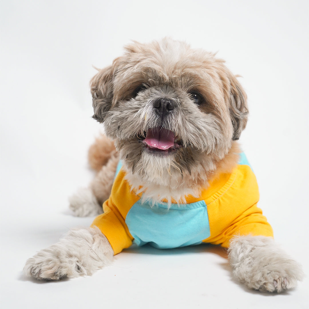 Sleeping dog wear Sky Dog T-Shirt-petsway