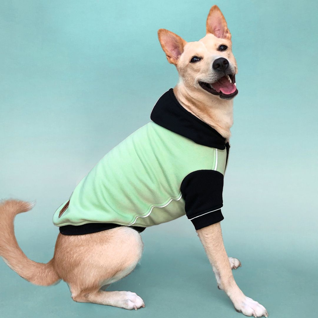 Adorable Snow Flake Dog Sweatshirt Petsway