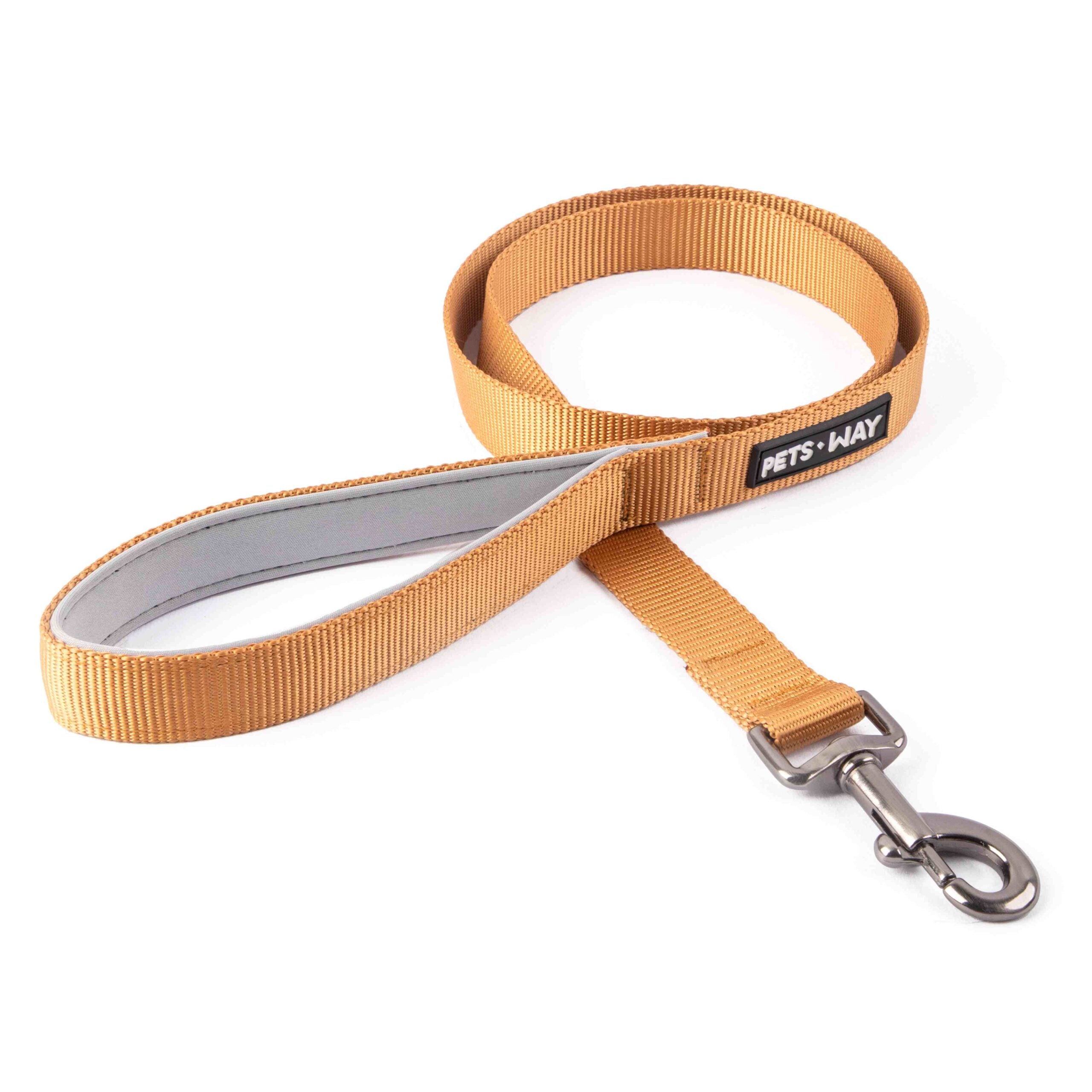 Honey Dog Collar Leash Set