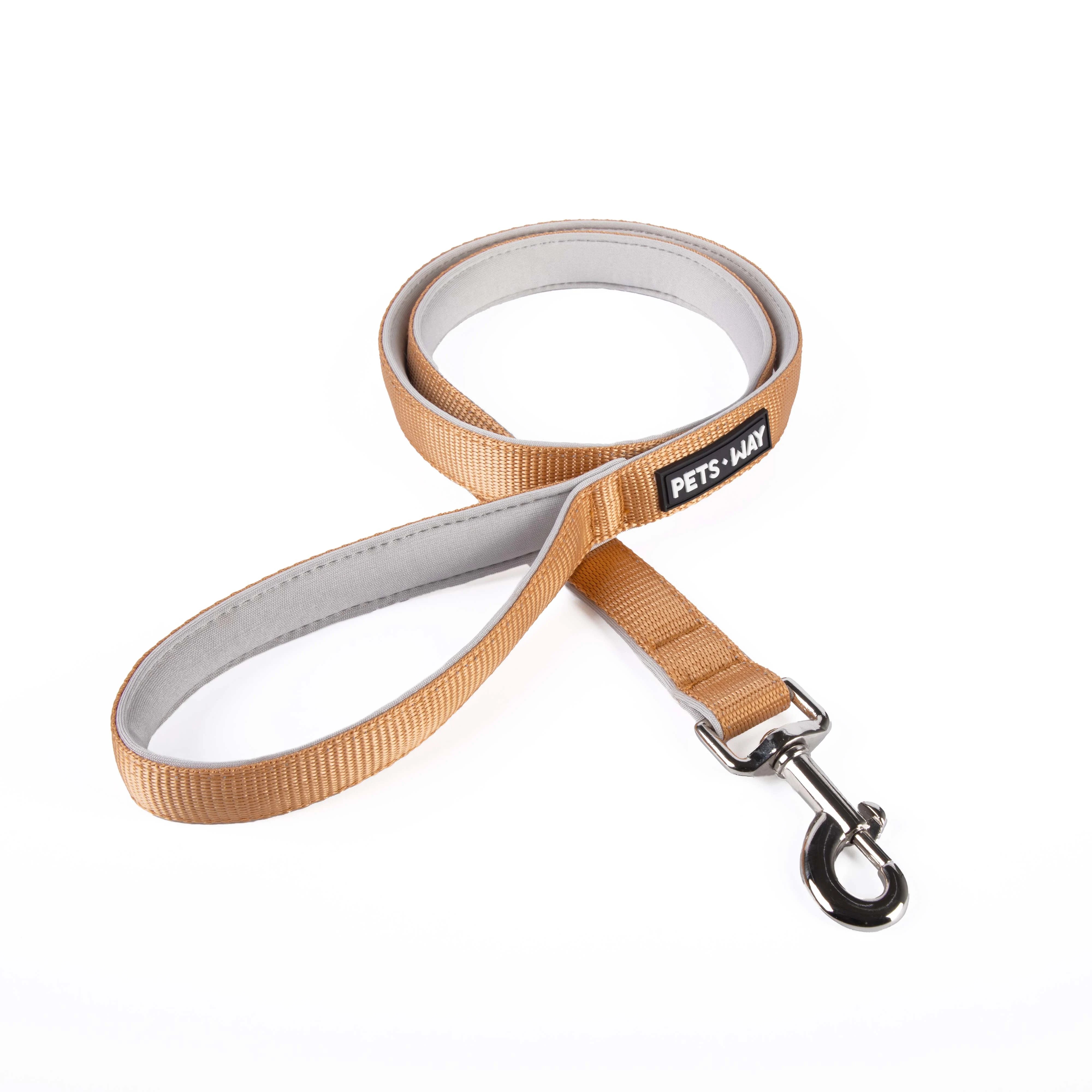 Honey padded Dog Leash