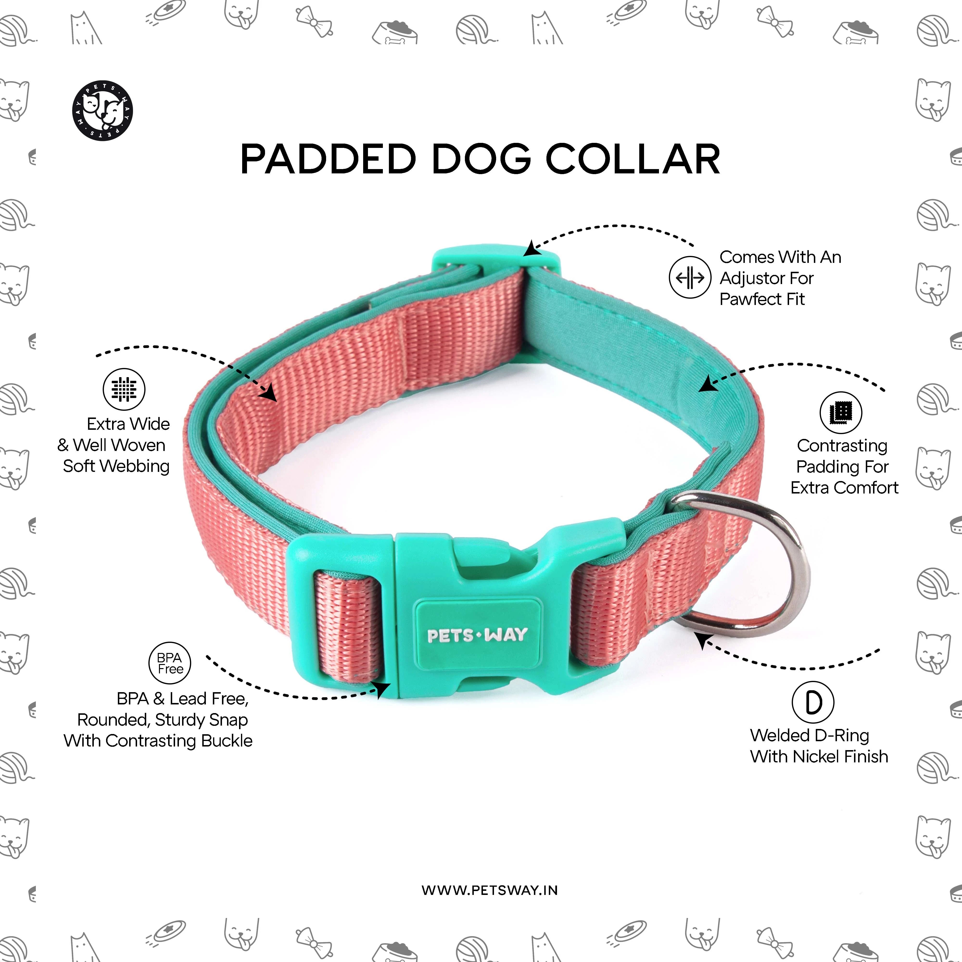 Amethyst Padded Dog collar