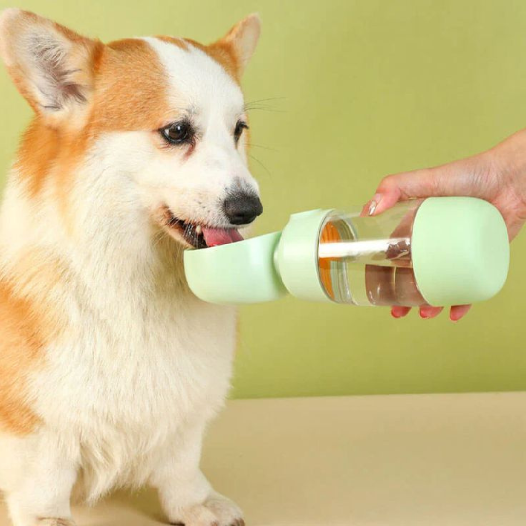 Spill-proof dog water bottle