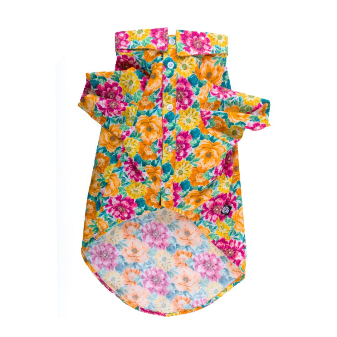 front of Spring Dog Shirt-petsway