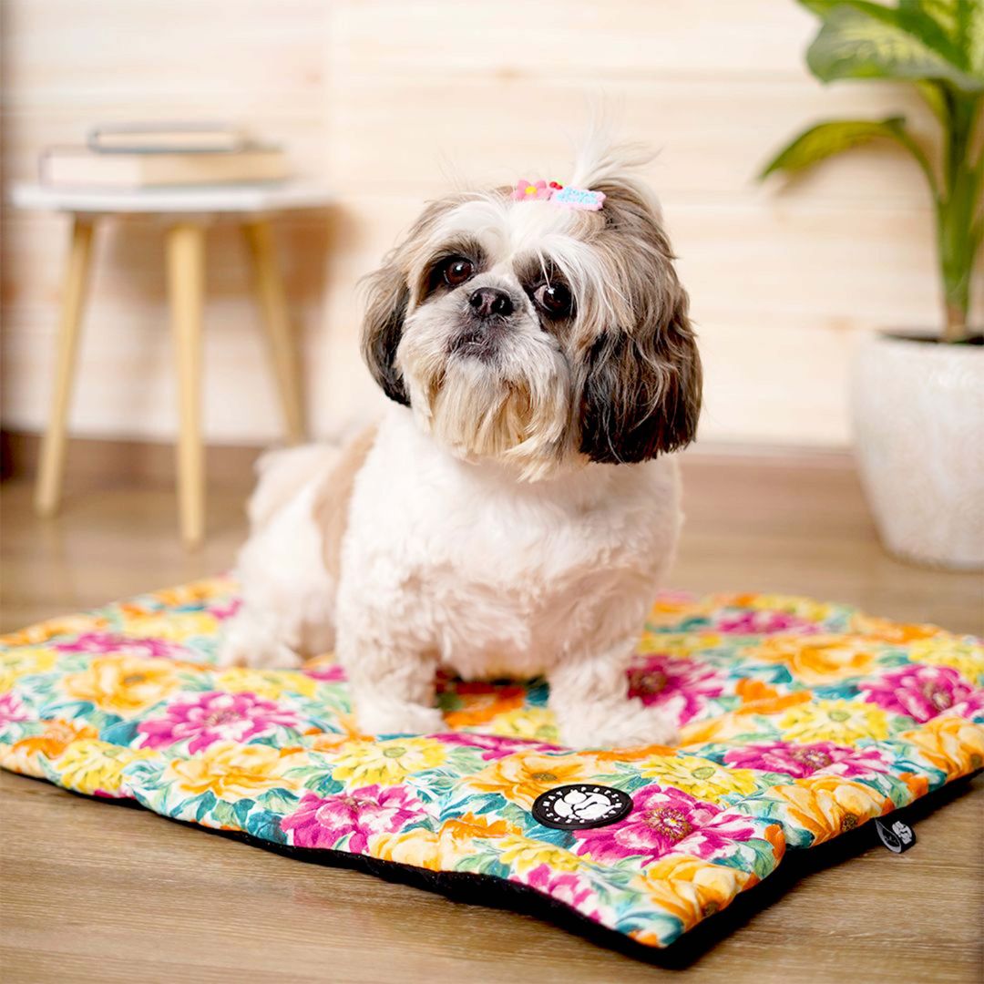 Skit Free Spring Mat – Stylish & Comfortable Pet Mat Petsway