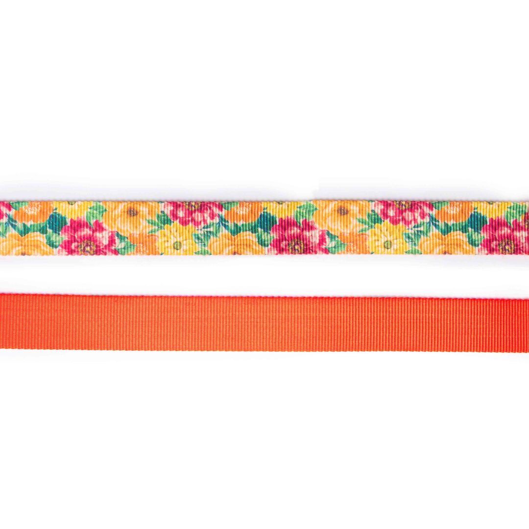 Spring dog leash-petsway