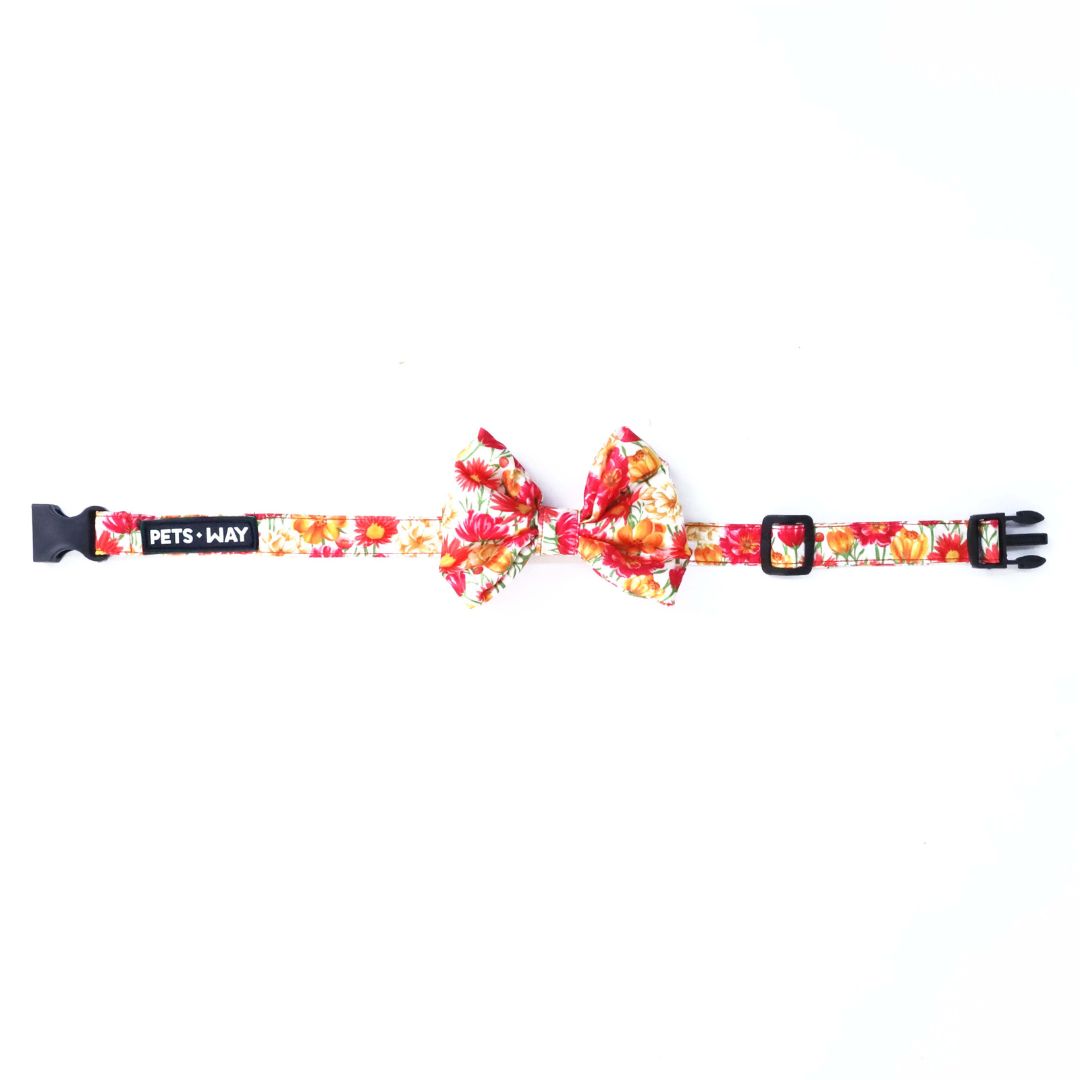 front of Spring Time Bow Tie-petsway