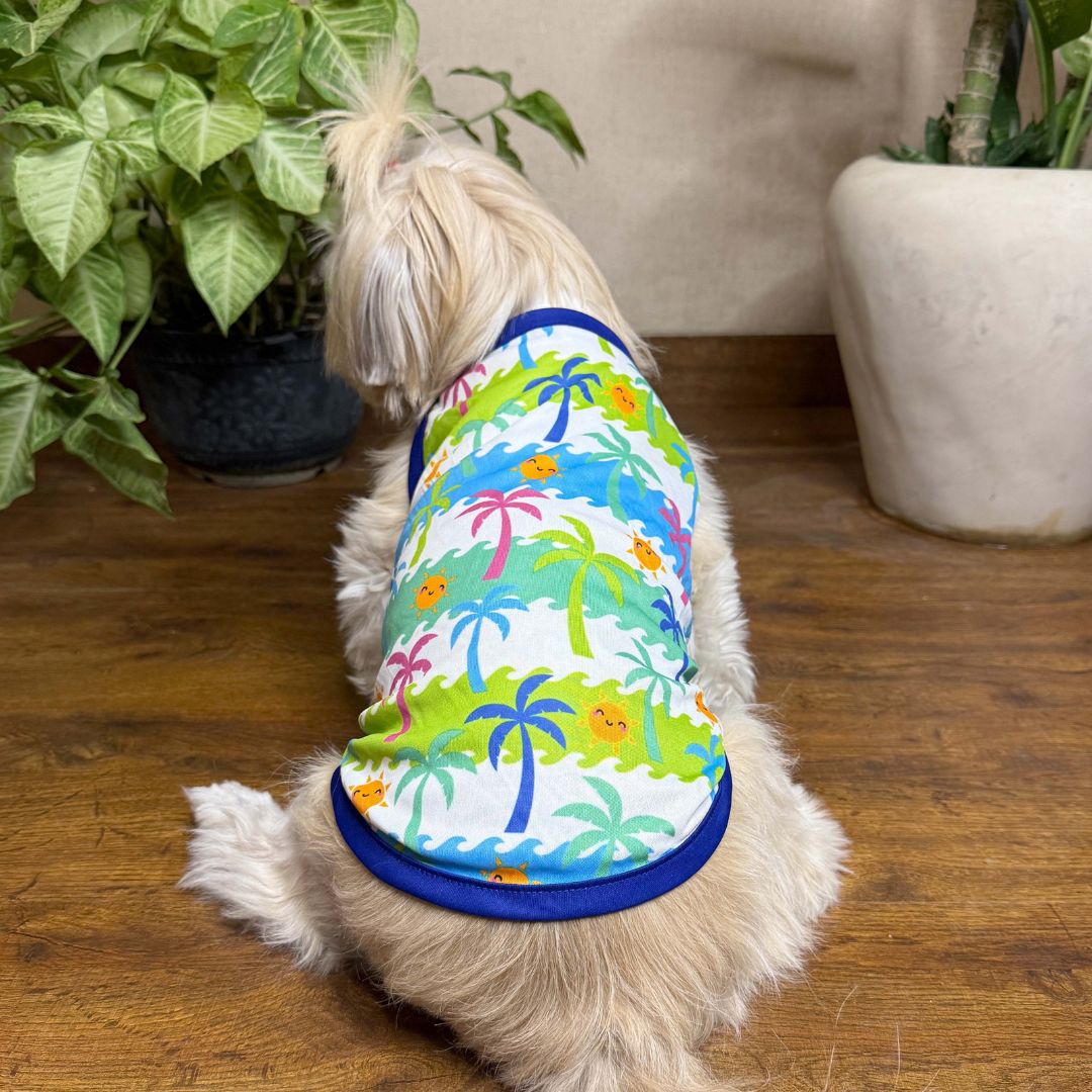Stay chill vest combo Petsway