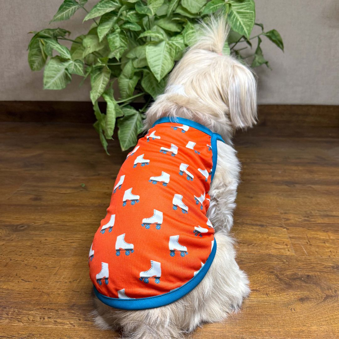 Stay chill vest combo Ptsway