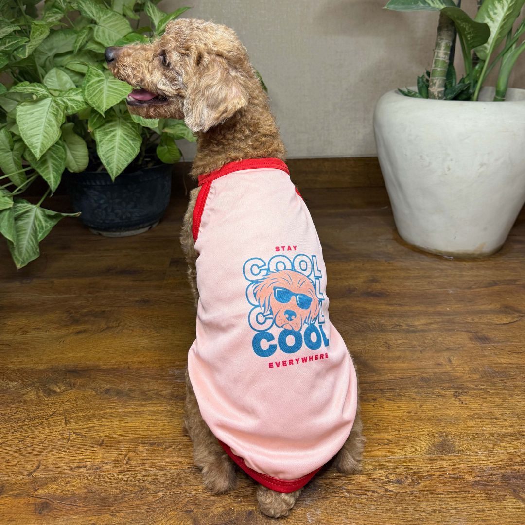 Back of Stay Cool vest petsway