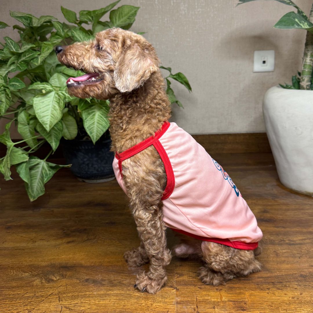 Stylish, cool Dog wear stay cool Dog vest Petsway