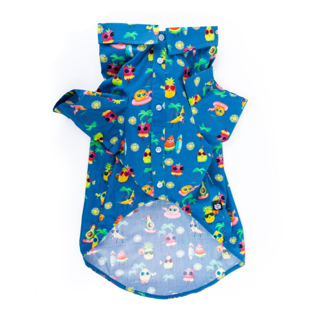 front of Summer-Sea Dog Shirt-petsway