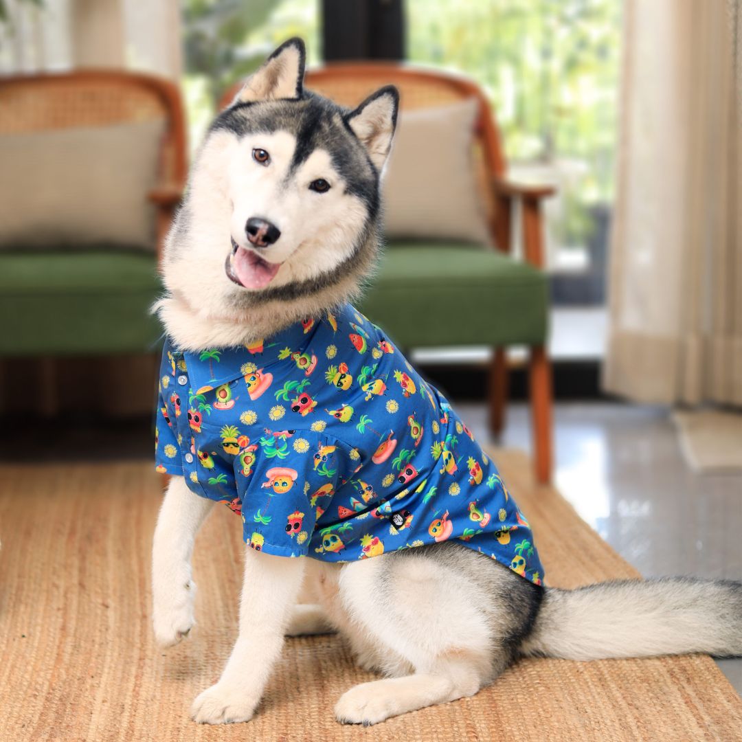 dog wear Summer-Sea Dog Shirt-petsway