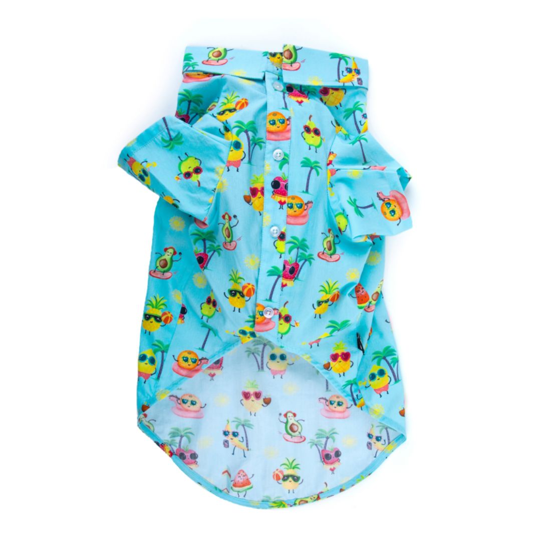 front of Summer-Sky Dog Shirt