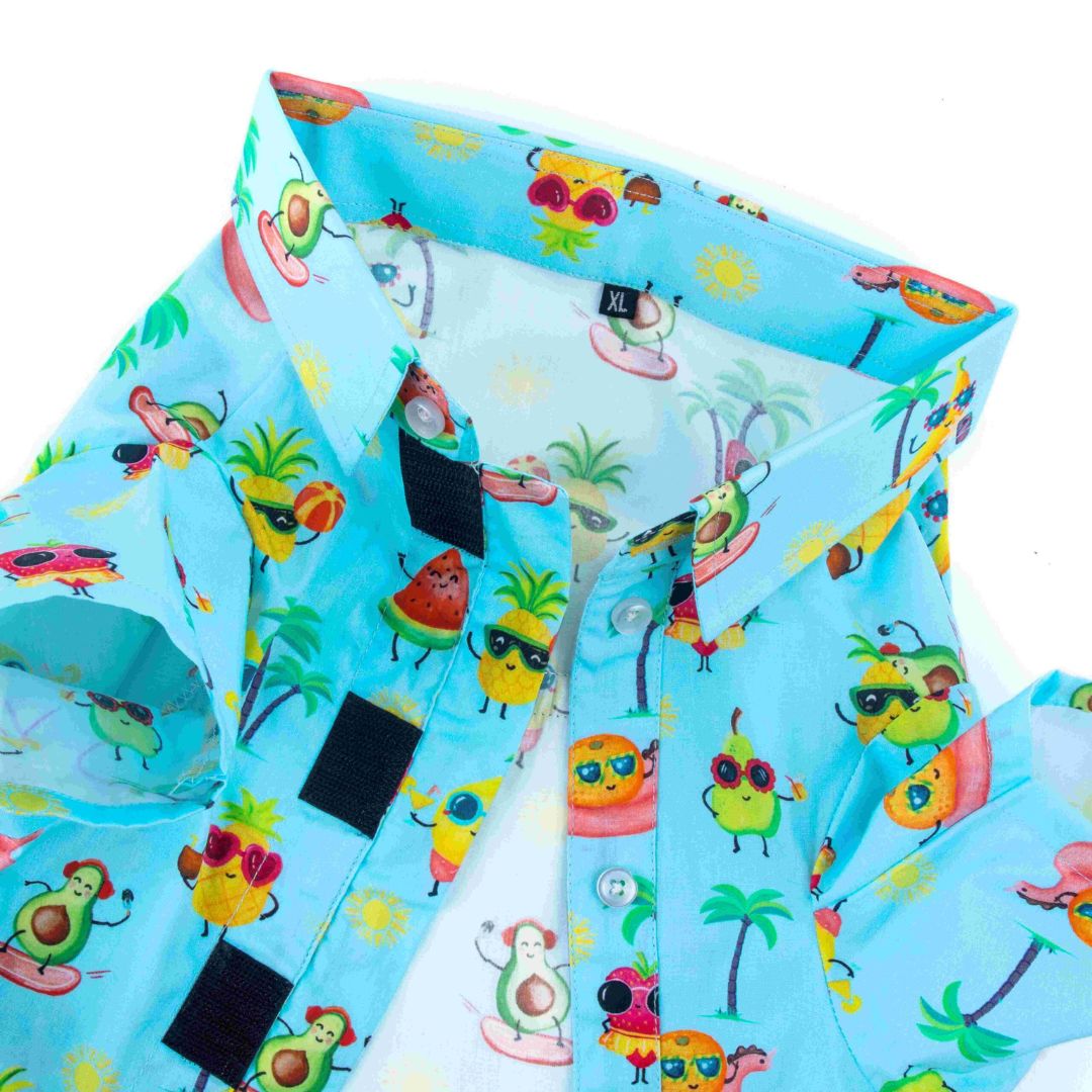 color of Summer-Sky Dog Shirt