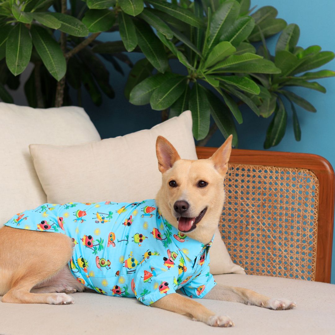 dog wear Summer-Sky Dog Shirt