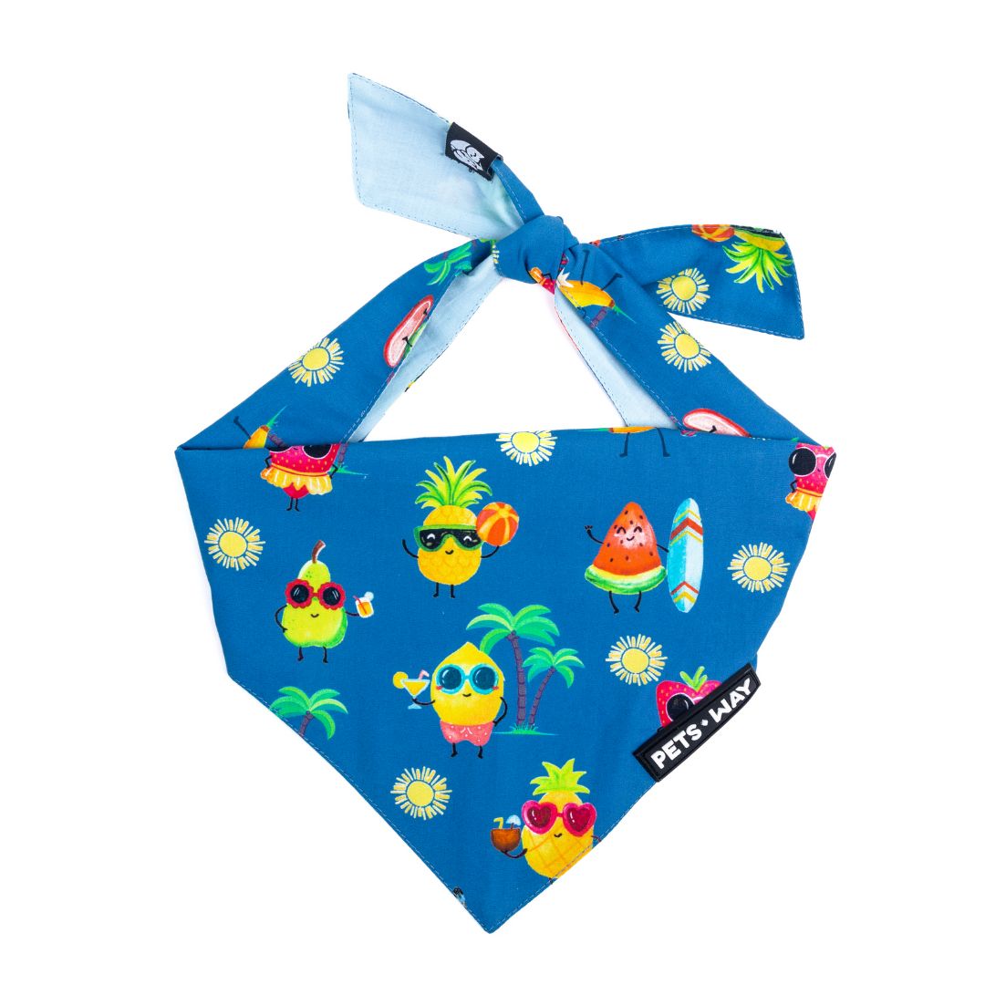 Summer-Sea Bandana-petsway