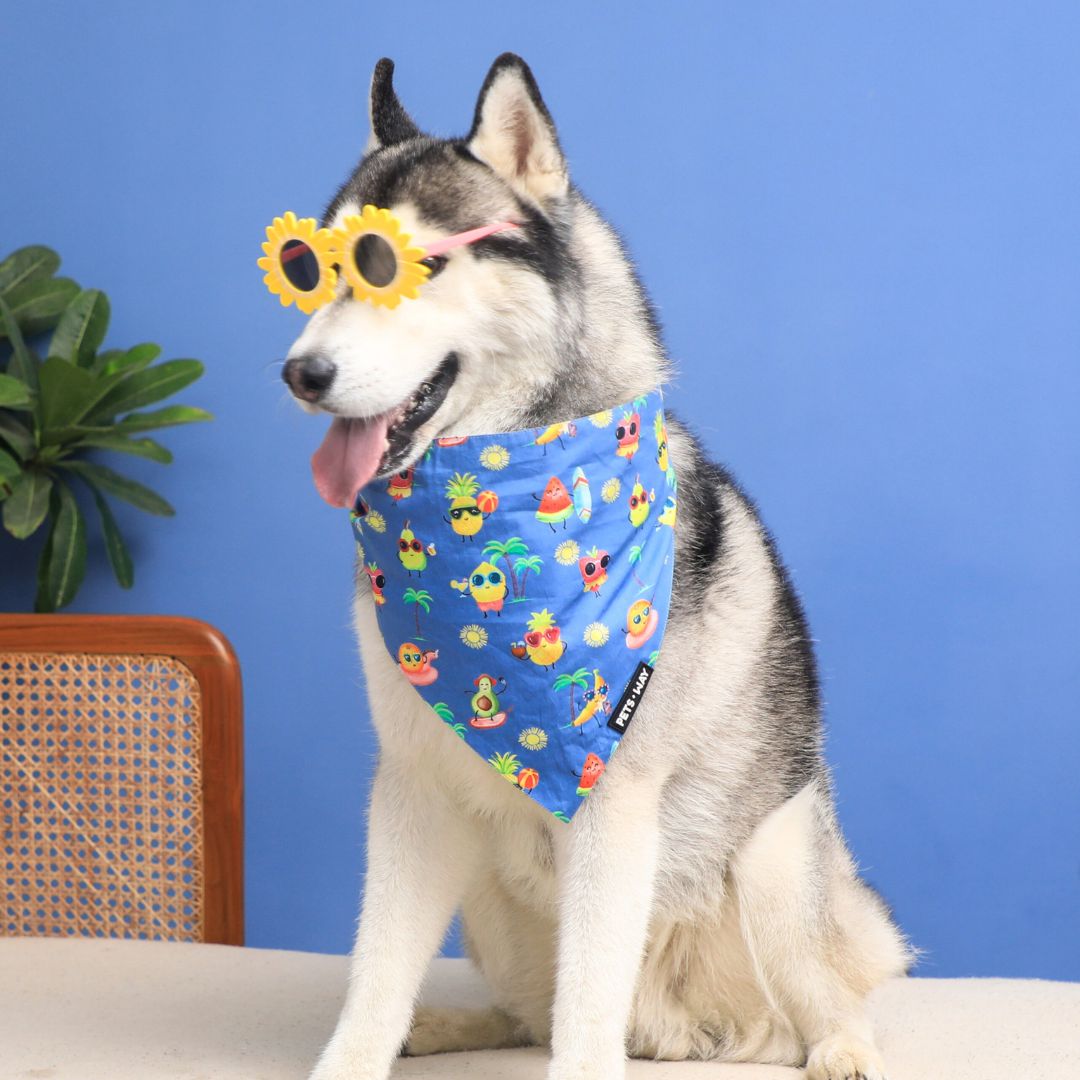 dog wear Summer-Sea Bandana-petsway