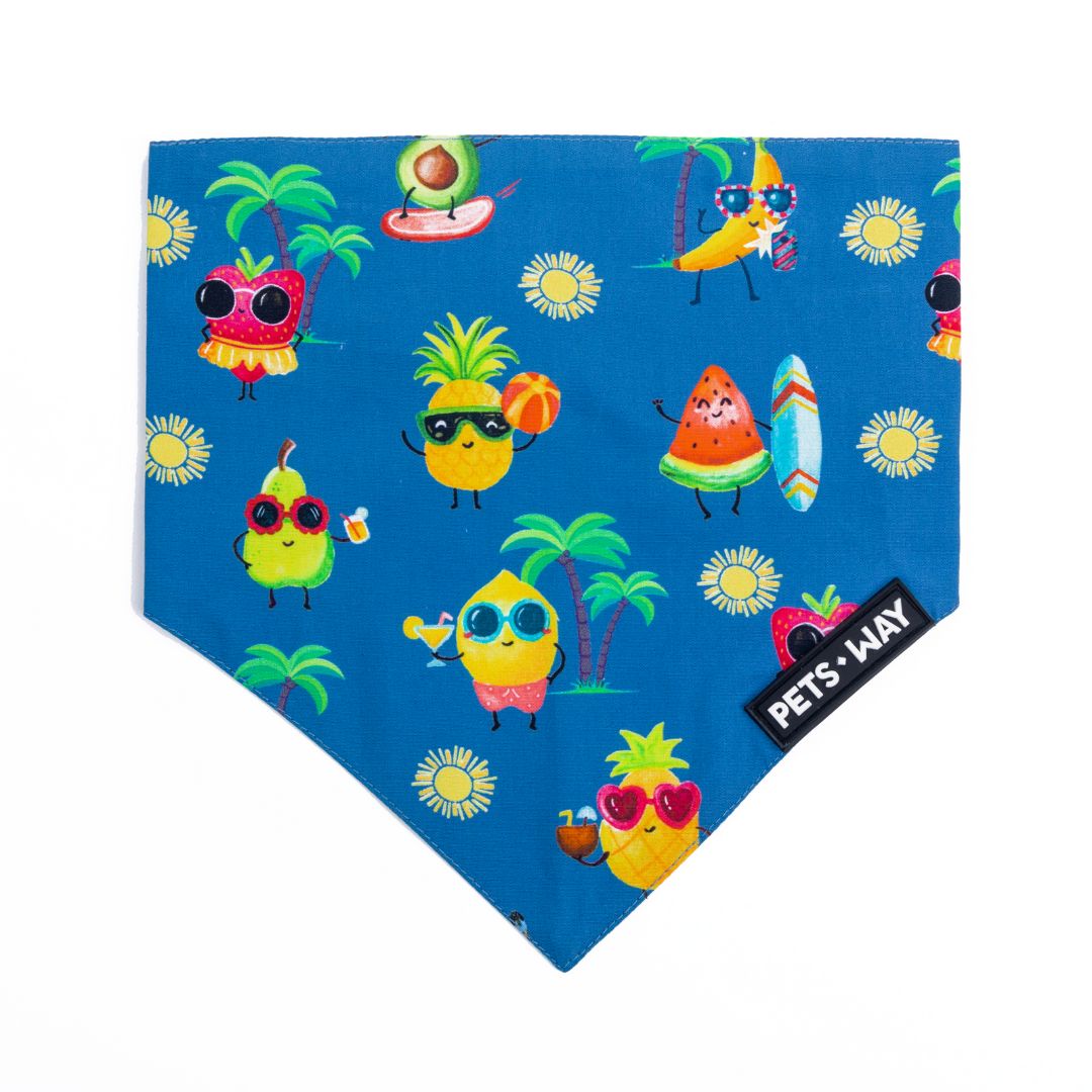 front of Summer-Sea Bandana-petsway