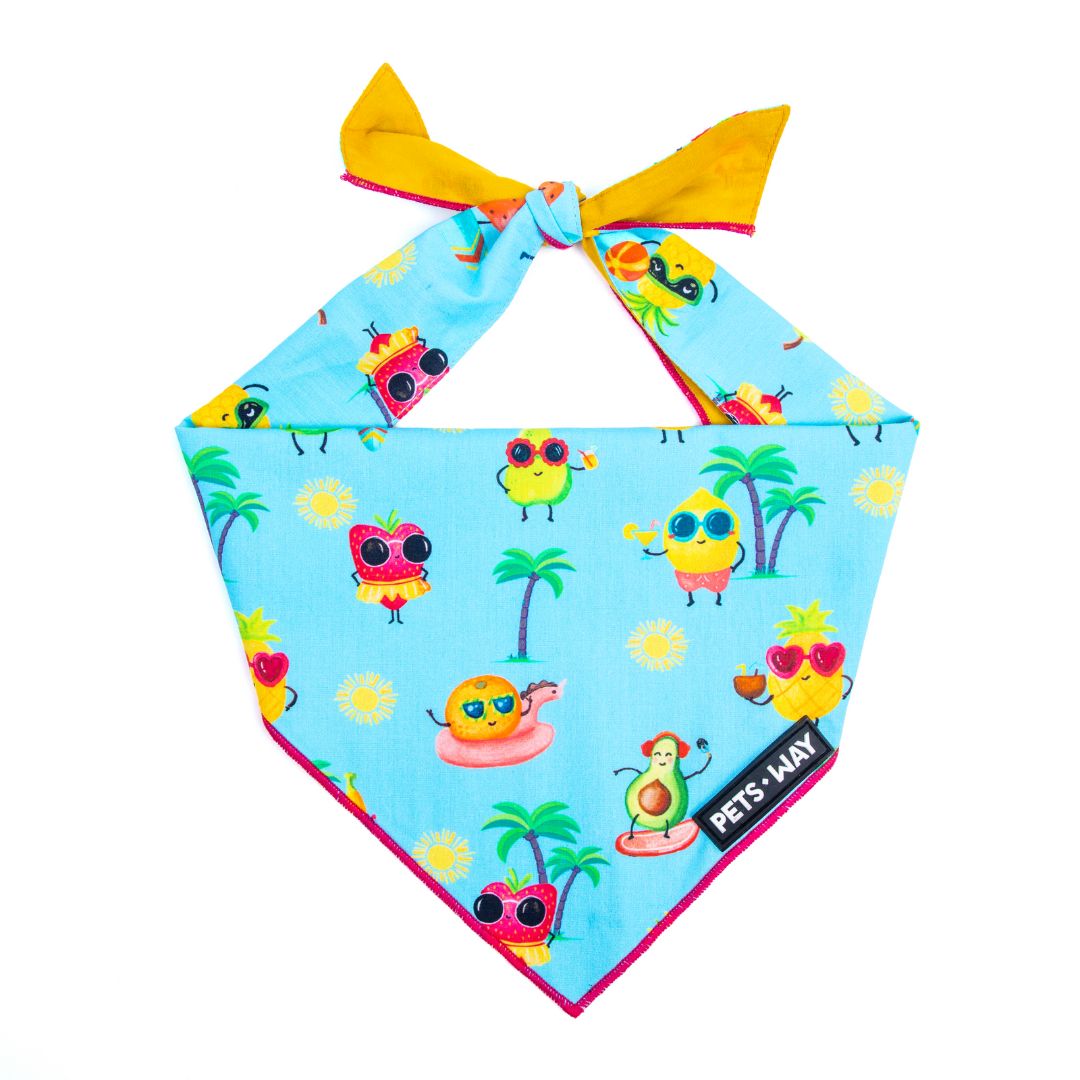Summer - Sky Bandana-petsway