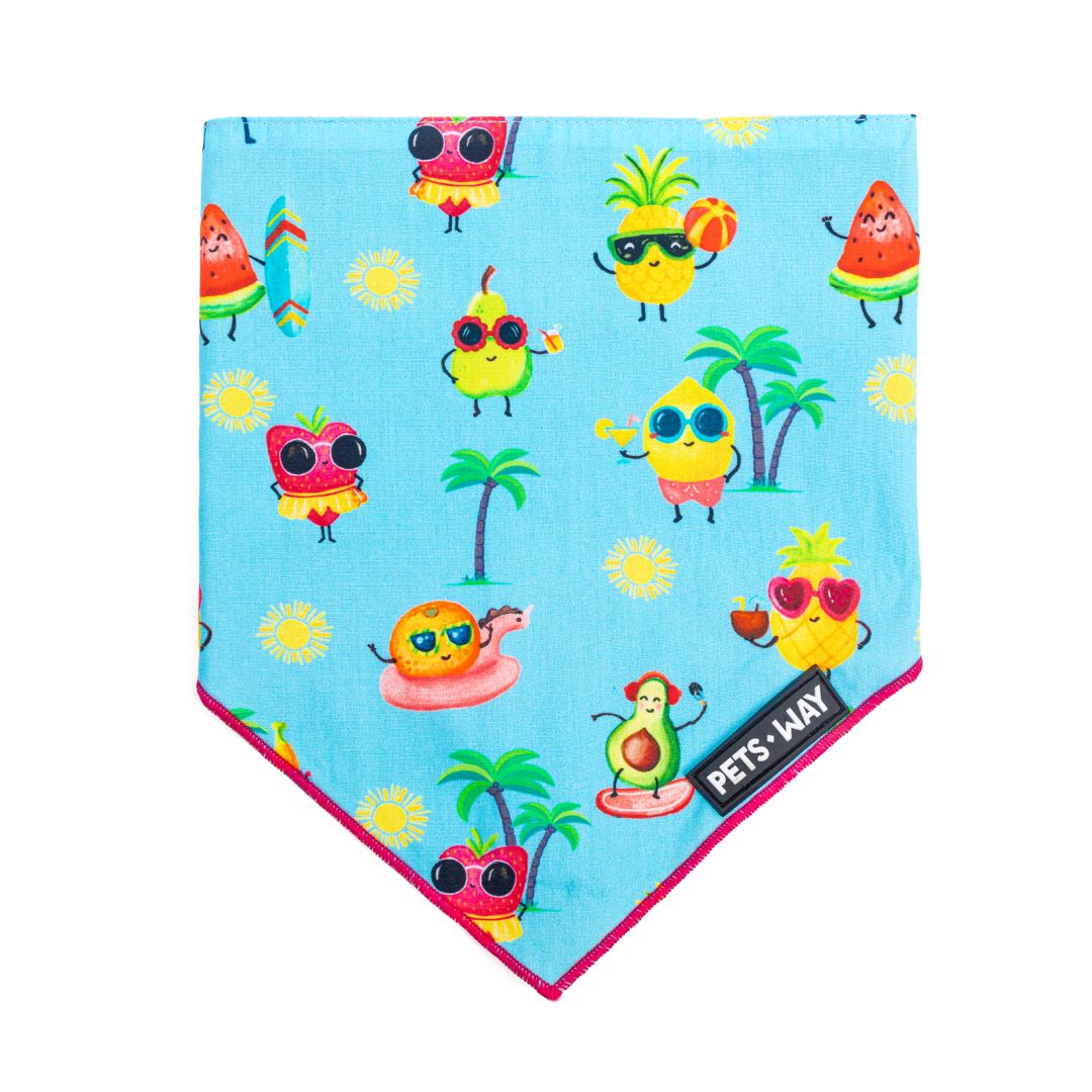 front of Summer - Sky Bandana-petsway