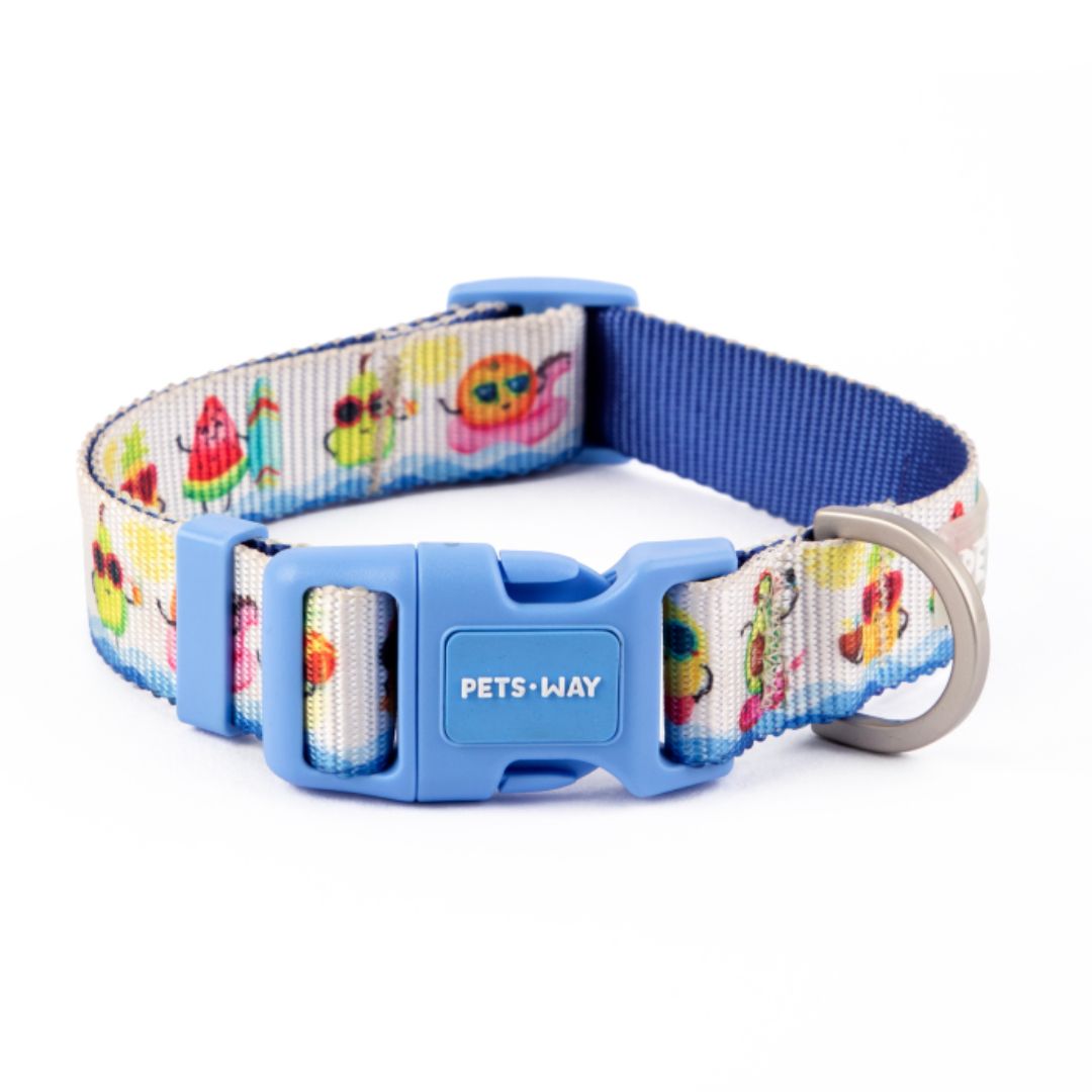 Summer Dog Collar-petsway
