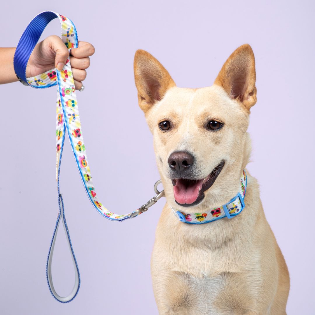 Dog wear Summer Dog Collar-petsway