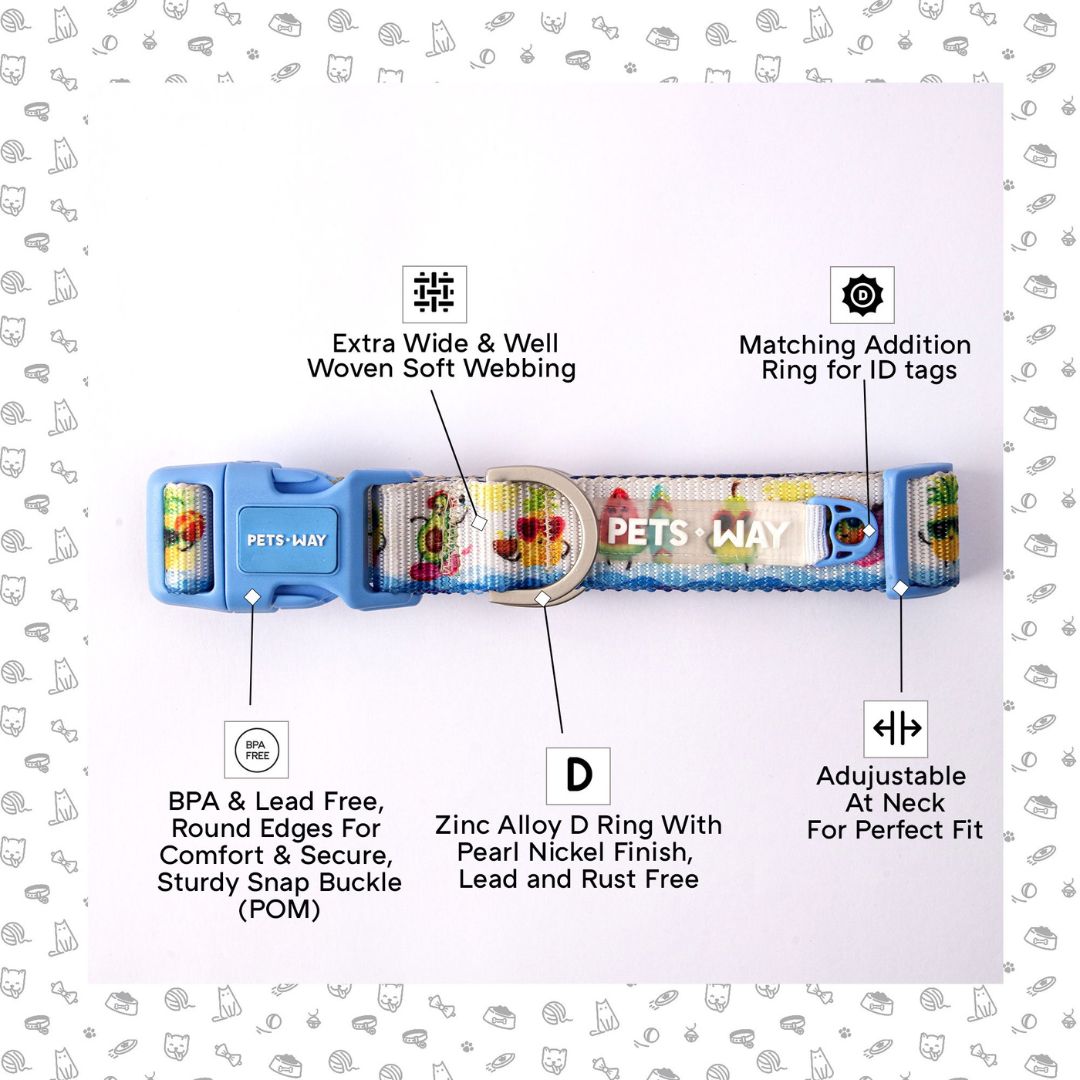 Feature image-petsway