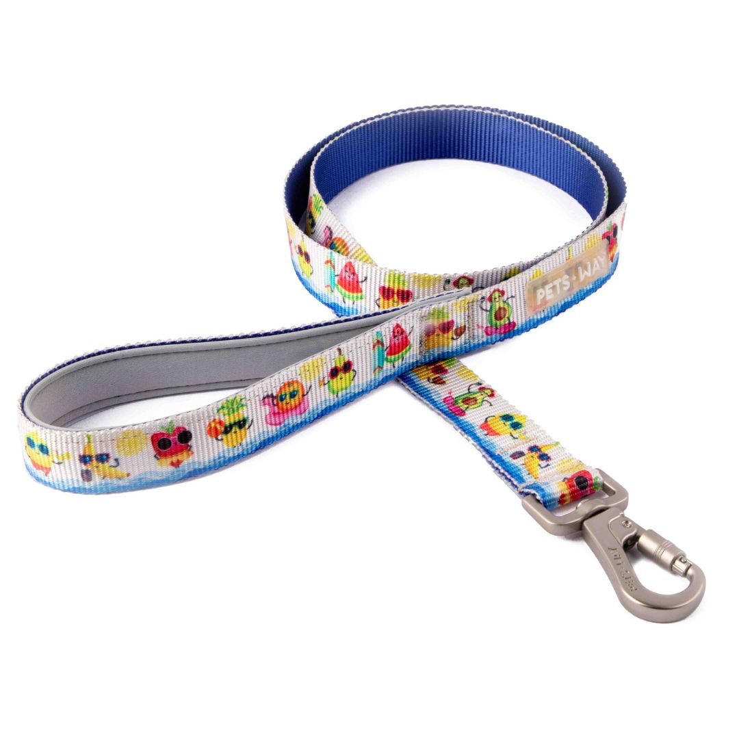 Summer Dog Leash-petsway