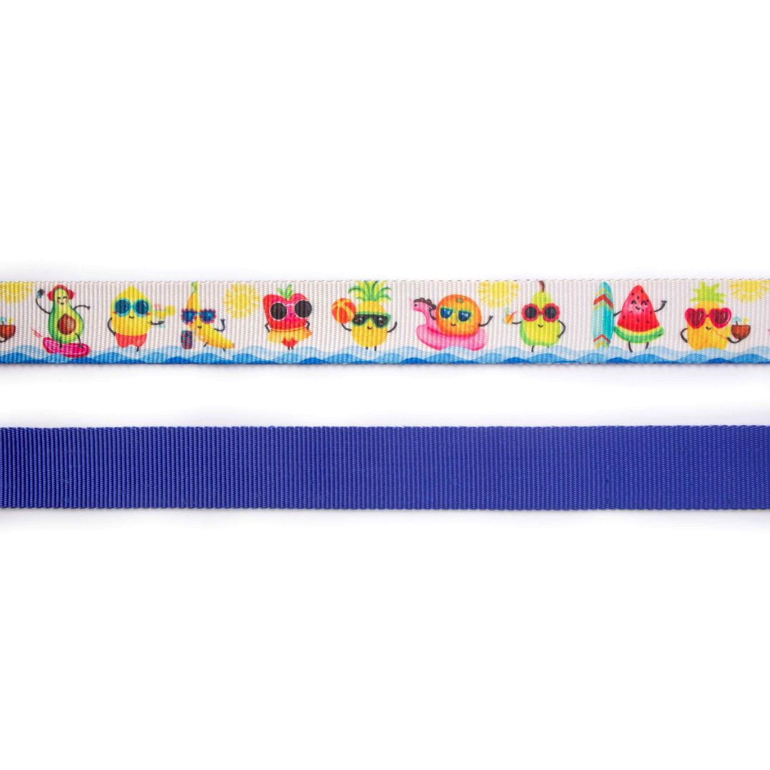 Summer Dog Leash-petsway