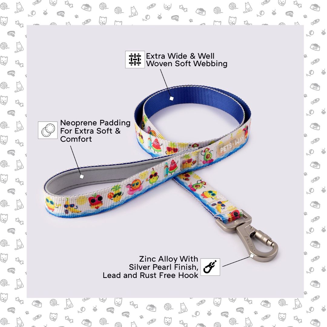 features image for Summer Leash-petsway