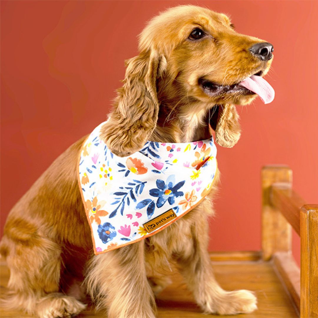 dog wear  Sunshine Satin Bandana-petsway