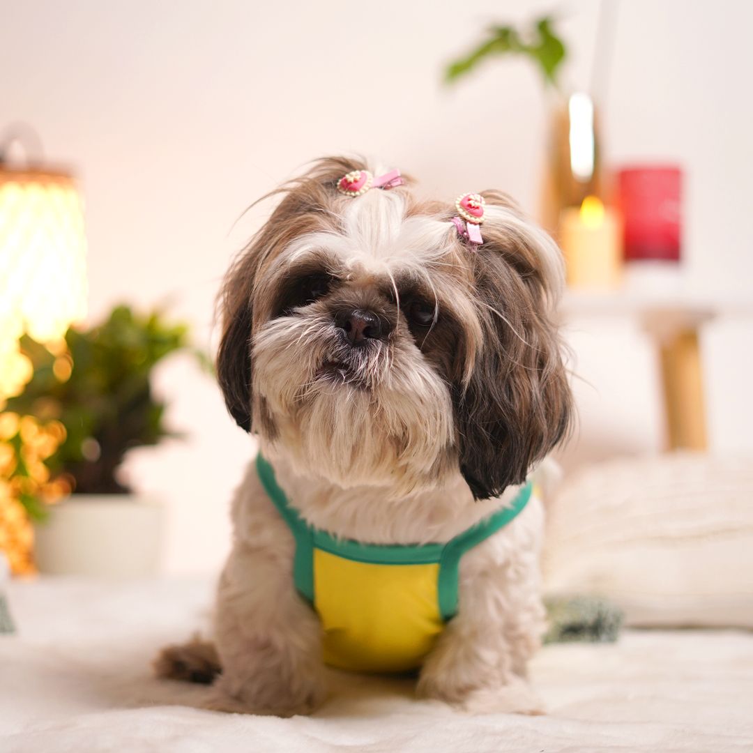 dog wear Sunshine Dog Vest-petsway