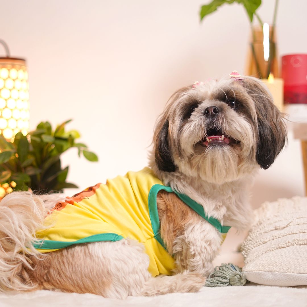 Stylish dog apparel for Sunshine Dog Vest-petsway