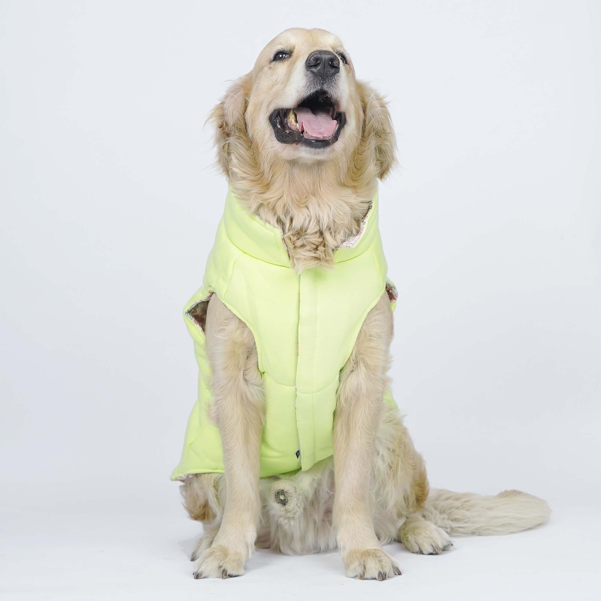 Superstar Reversible - Floral Dog Jacket