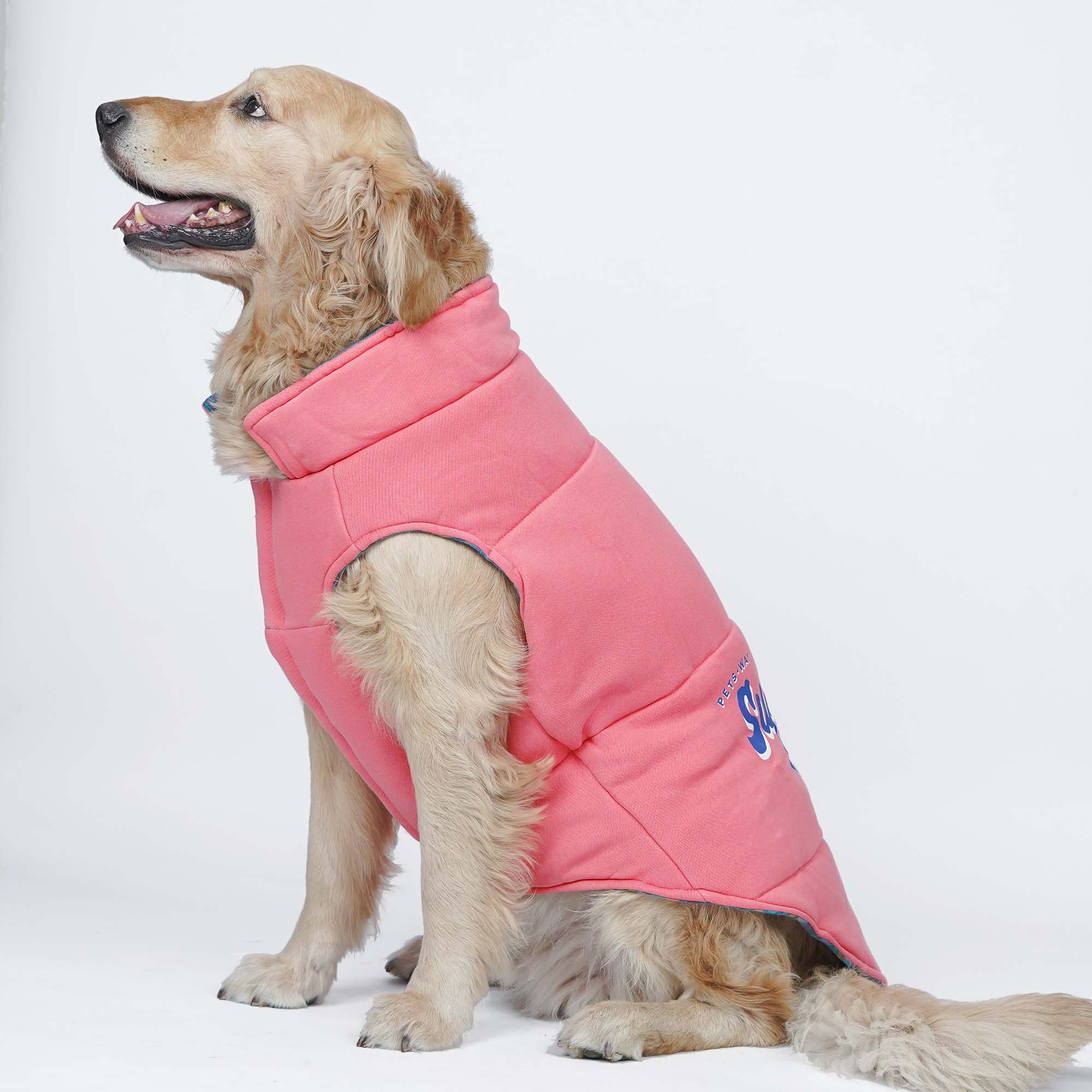 Superstar Reversible - Checks Dog Jacket