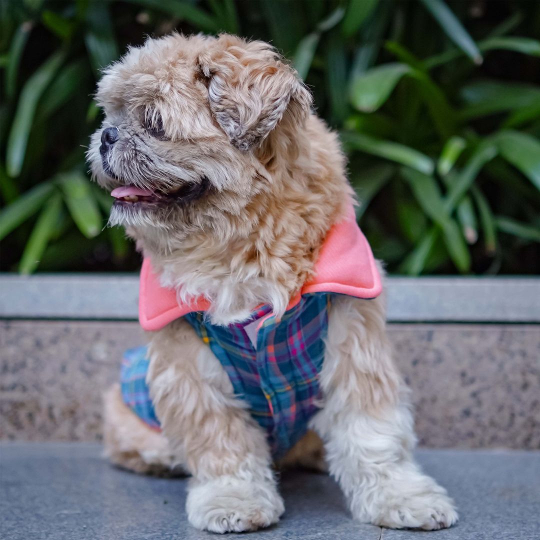Adorable Superstar Reversible - Checks Dog Jacket Petsway