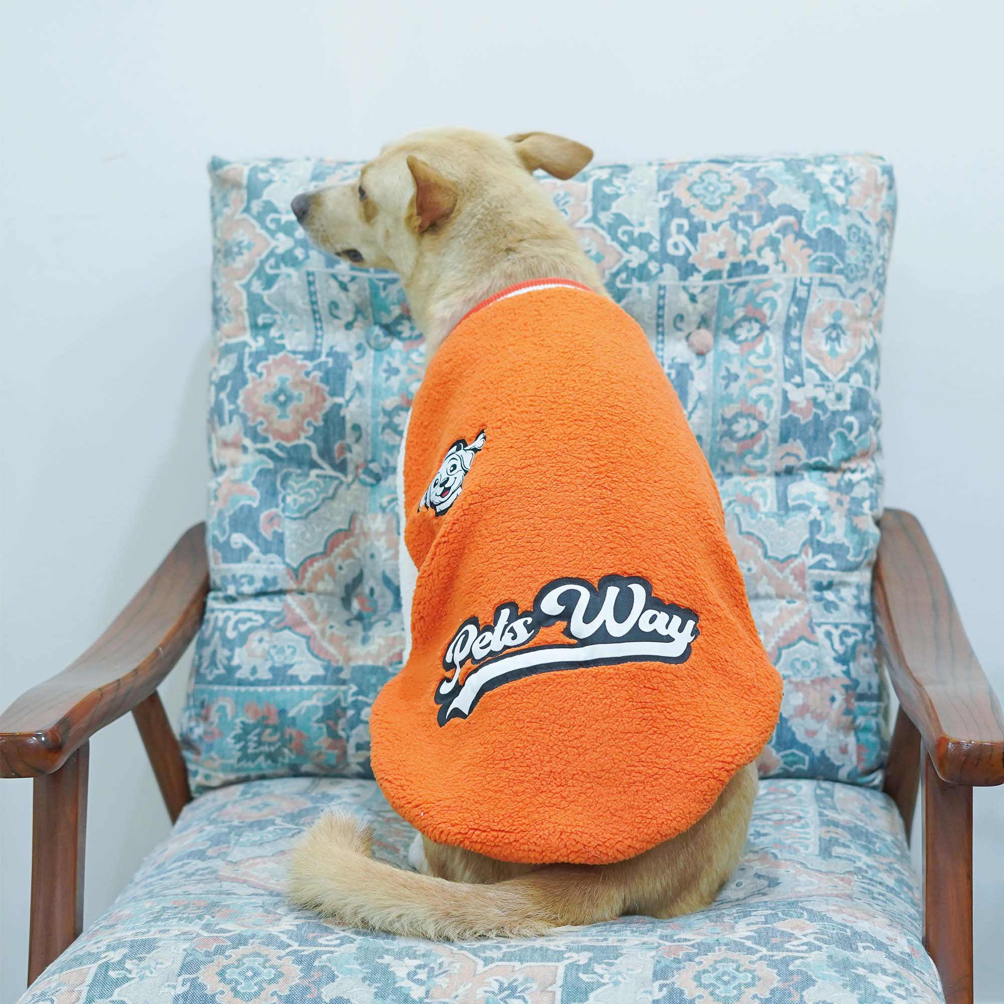 Crazy Pawsity – Tangerine Dog Jacket