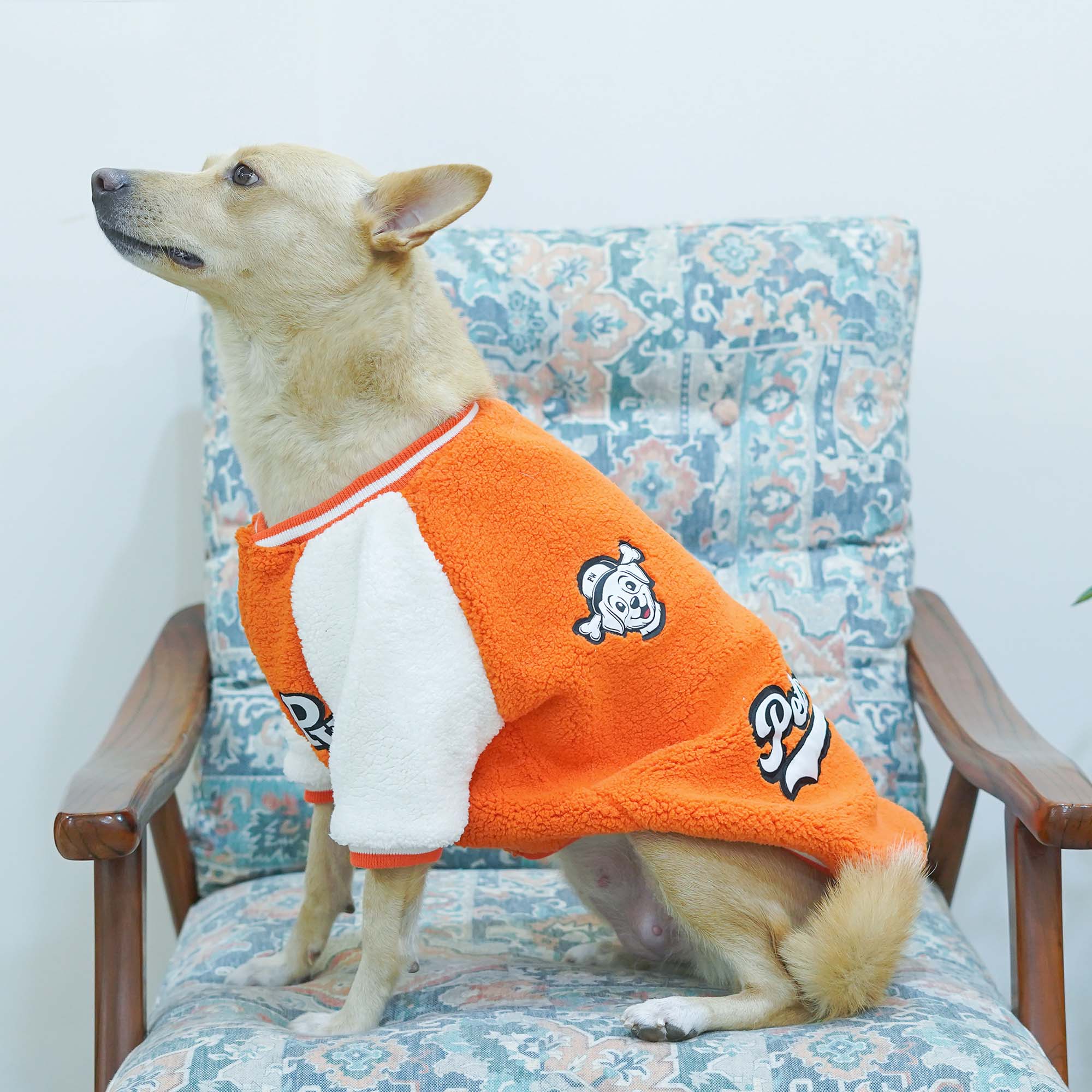Crazy Pawsity – Tangerine Dog Jacket