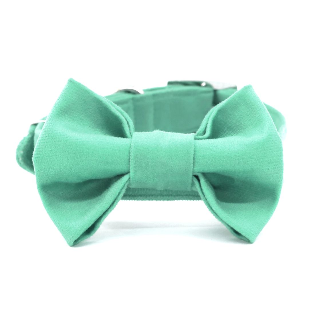 full image of Teal Luxury Velvet Bow Tie-petsway