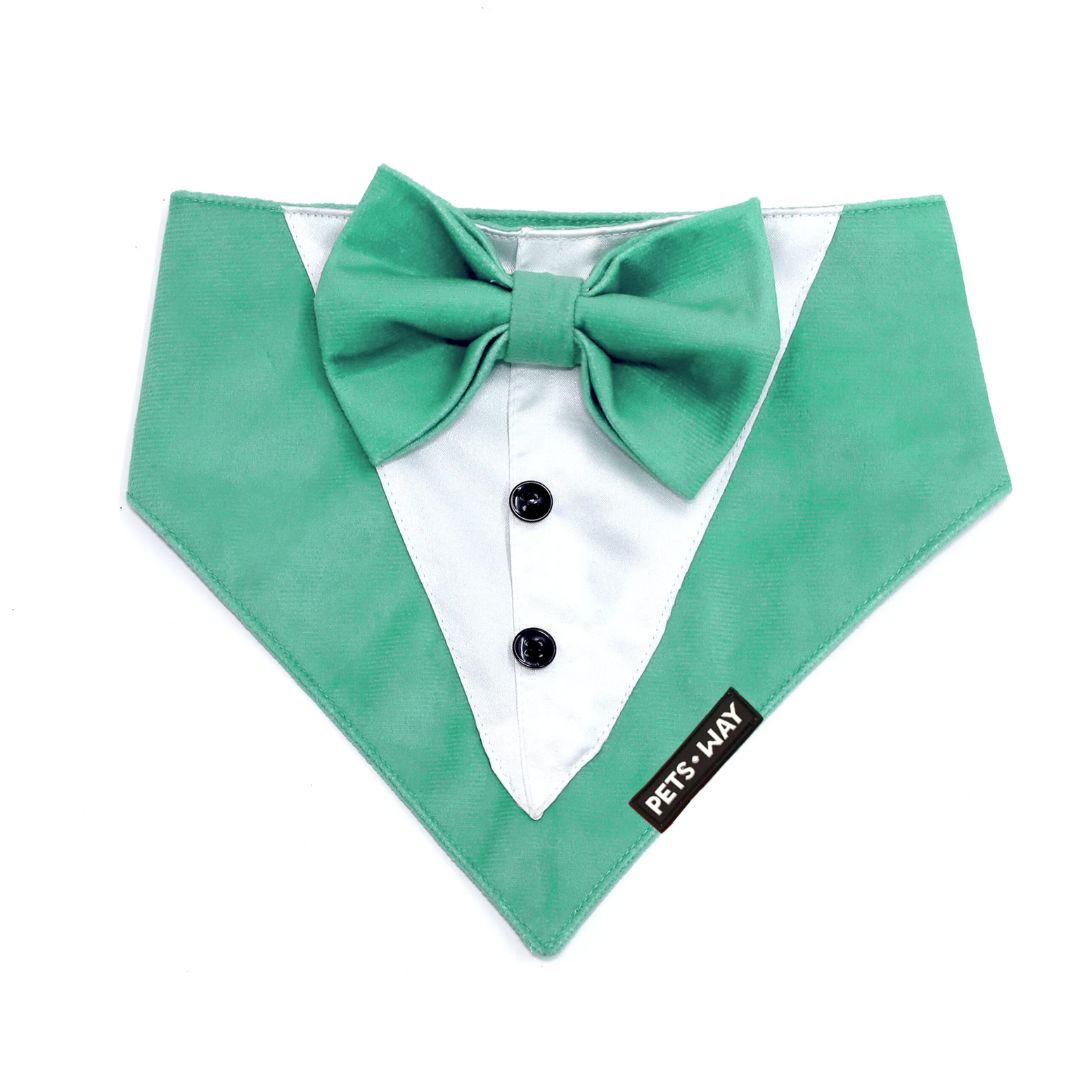 Teal Luxury Velvet Tuxedo-petsway