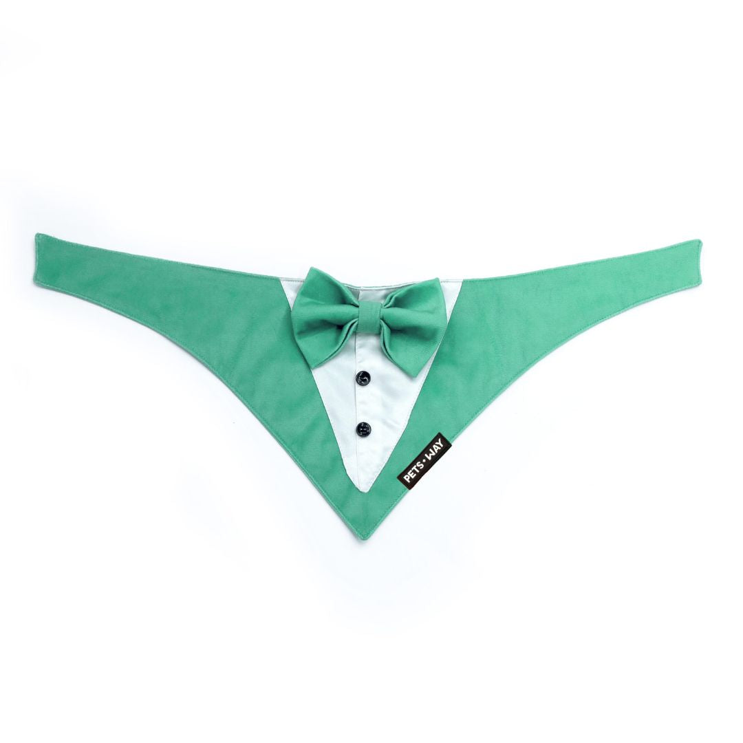 Teal Luxury Velvet Tuxedo-petsway