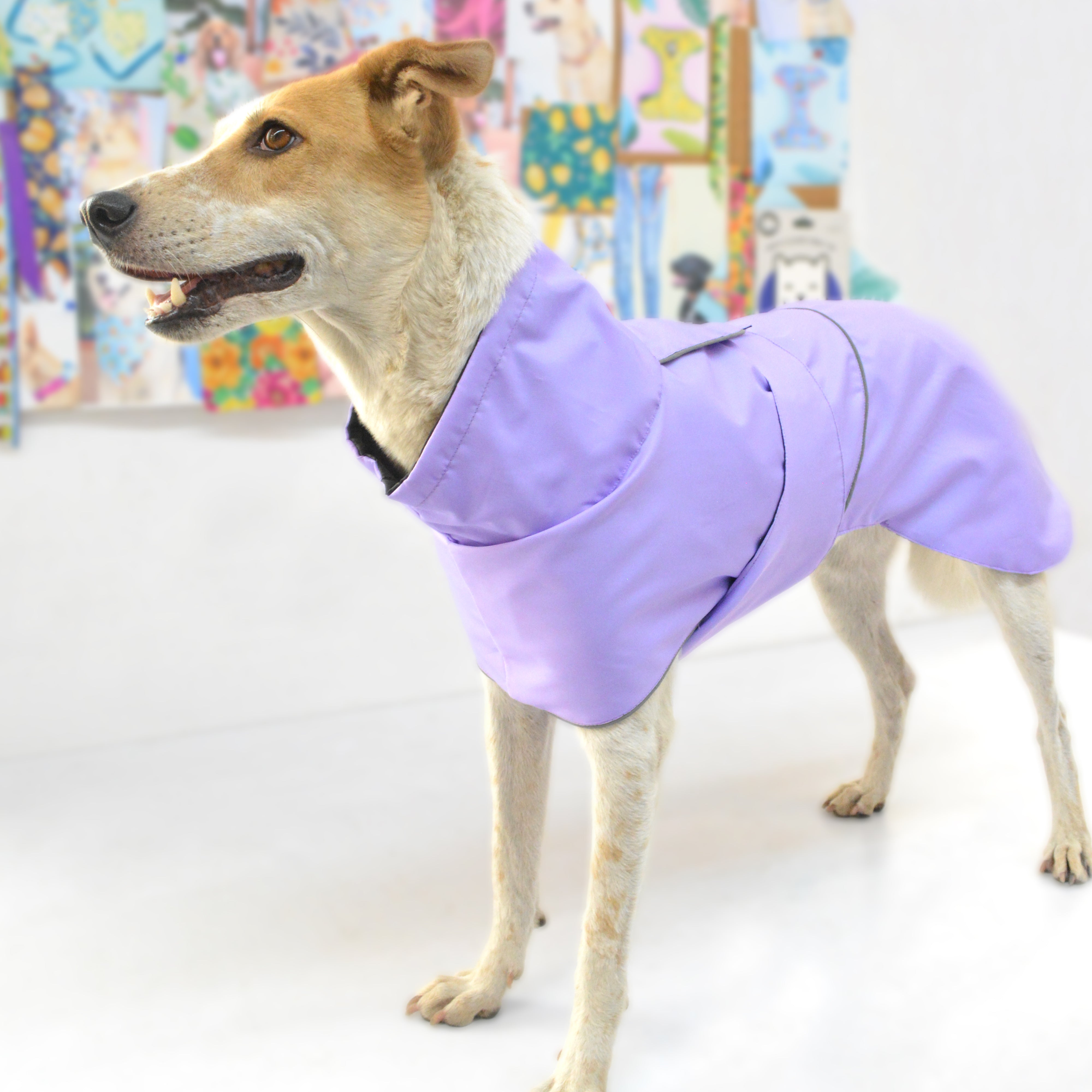 Thunder Raincoat - Lavender