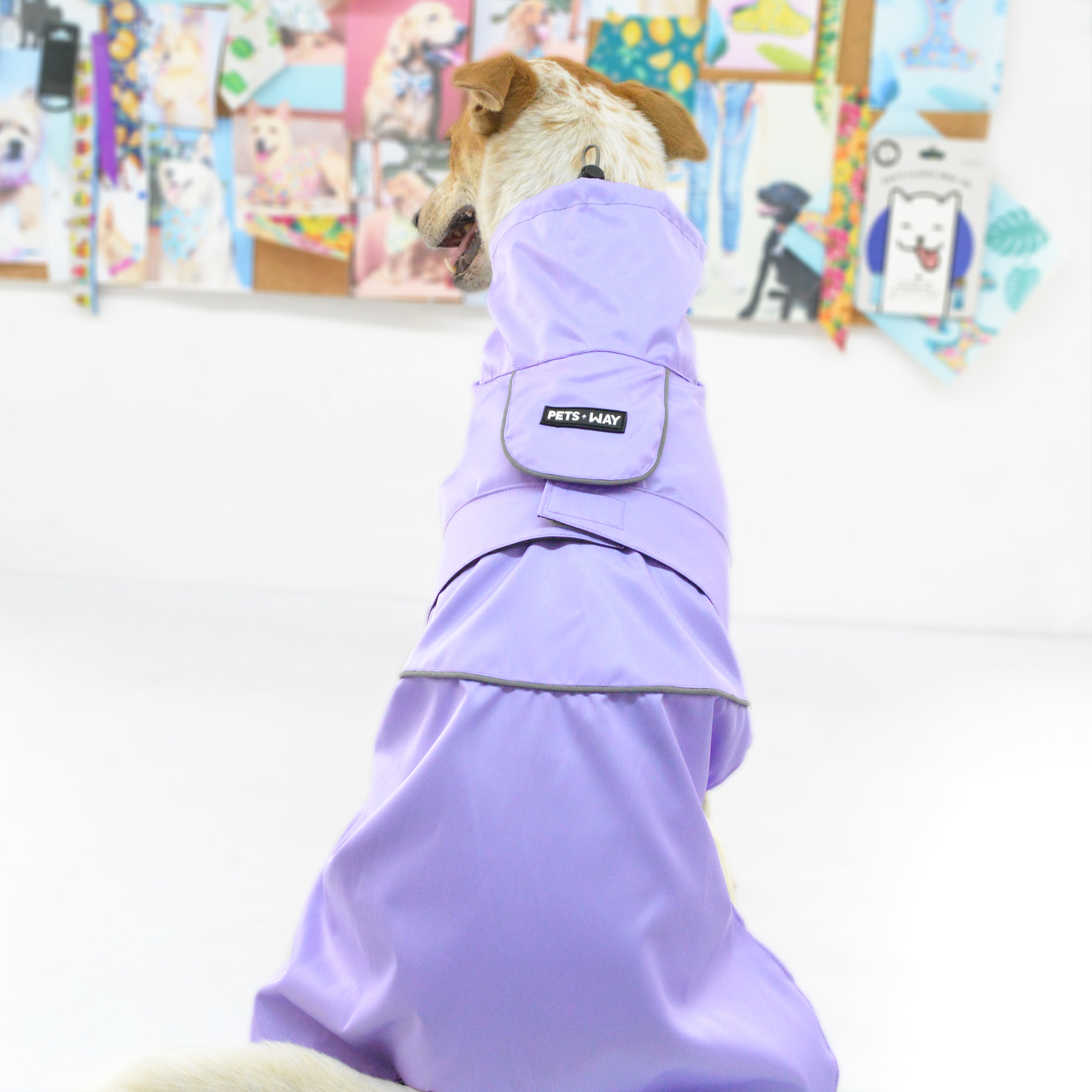 Thunder Raincoat - Lavender