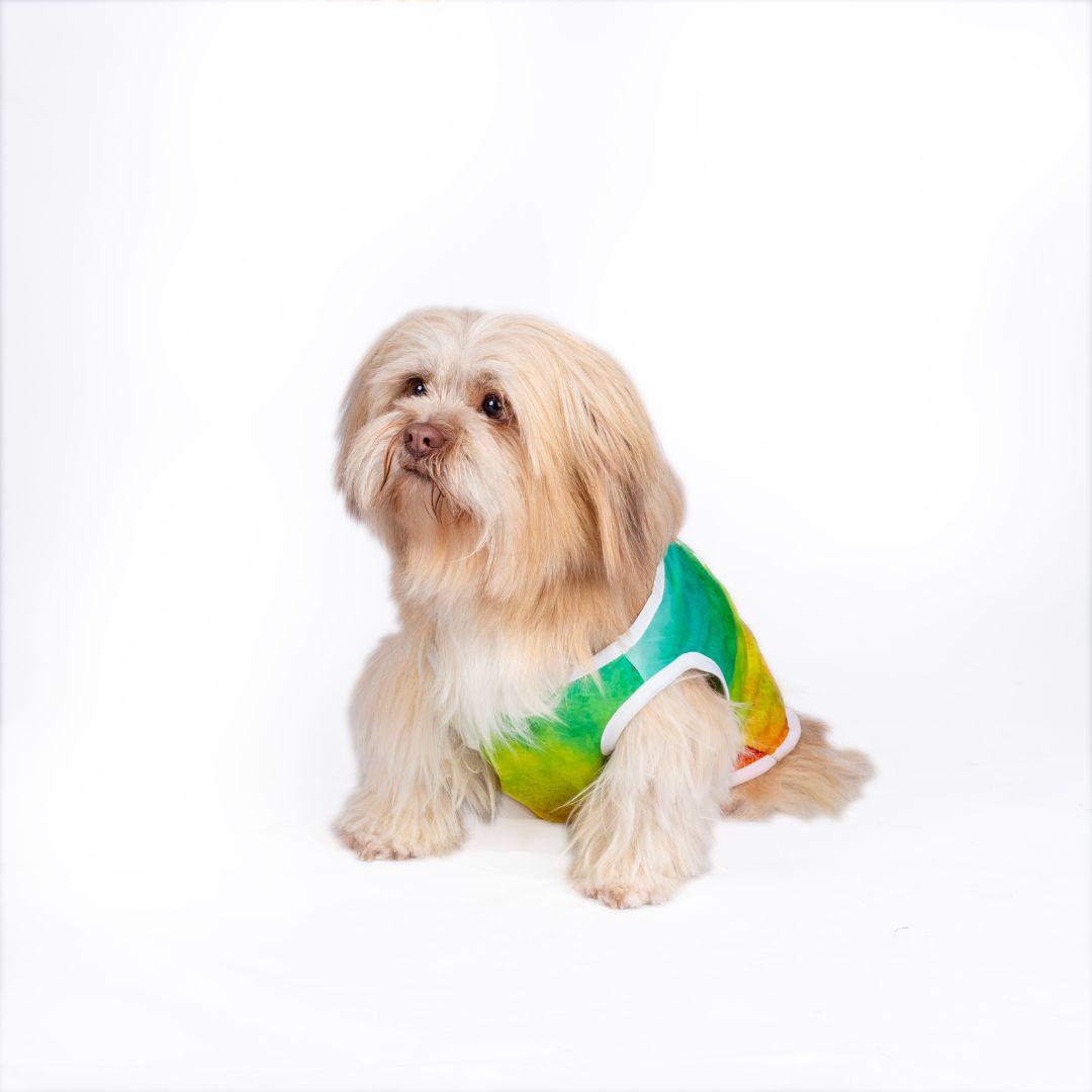 Soft Cotton Holi Dog T-Shirt - Pets Way