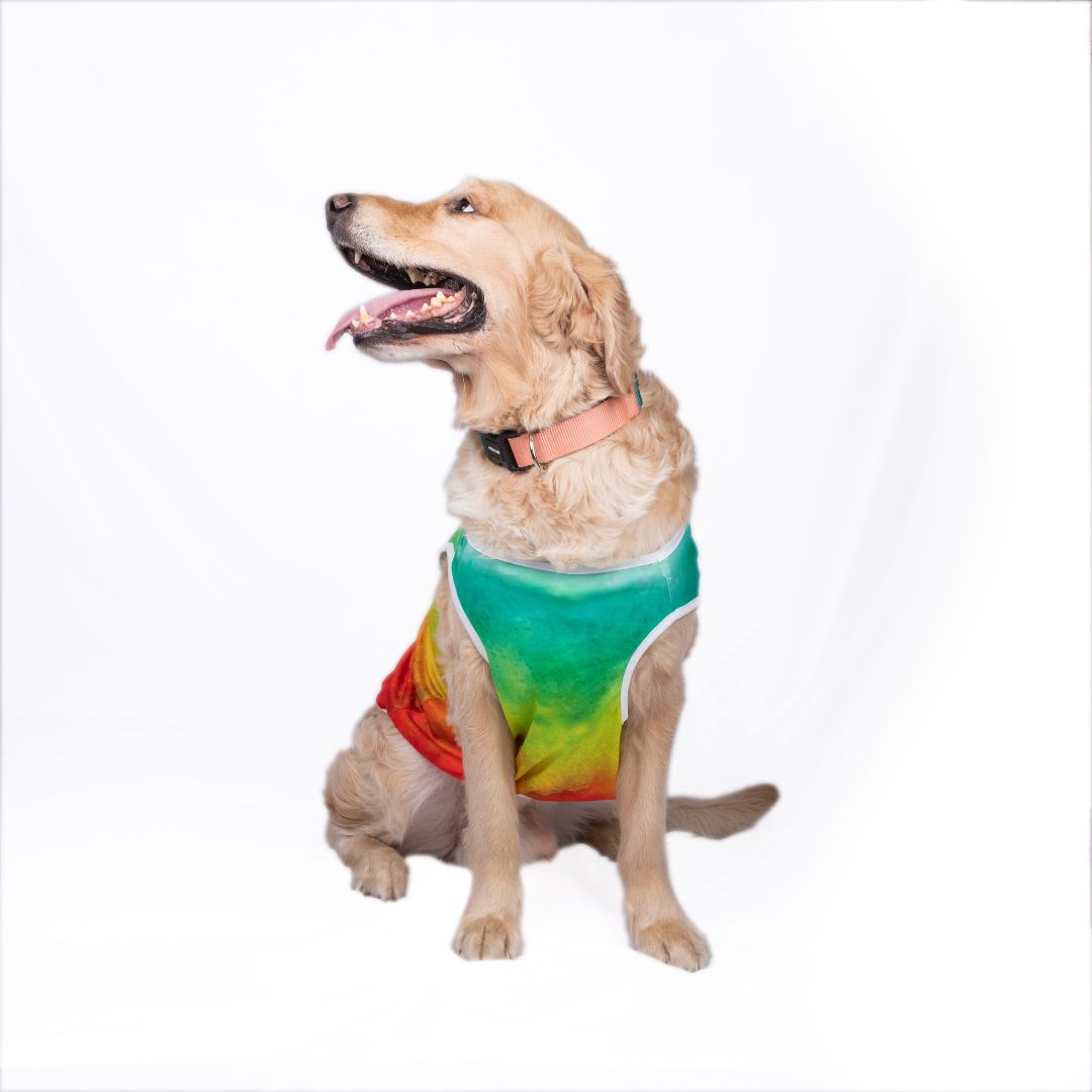 Soft Cotton Holi Dog T-Shirt - Pets Way
