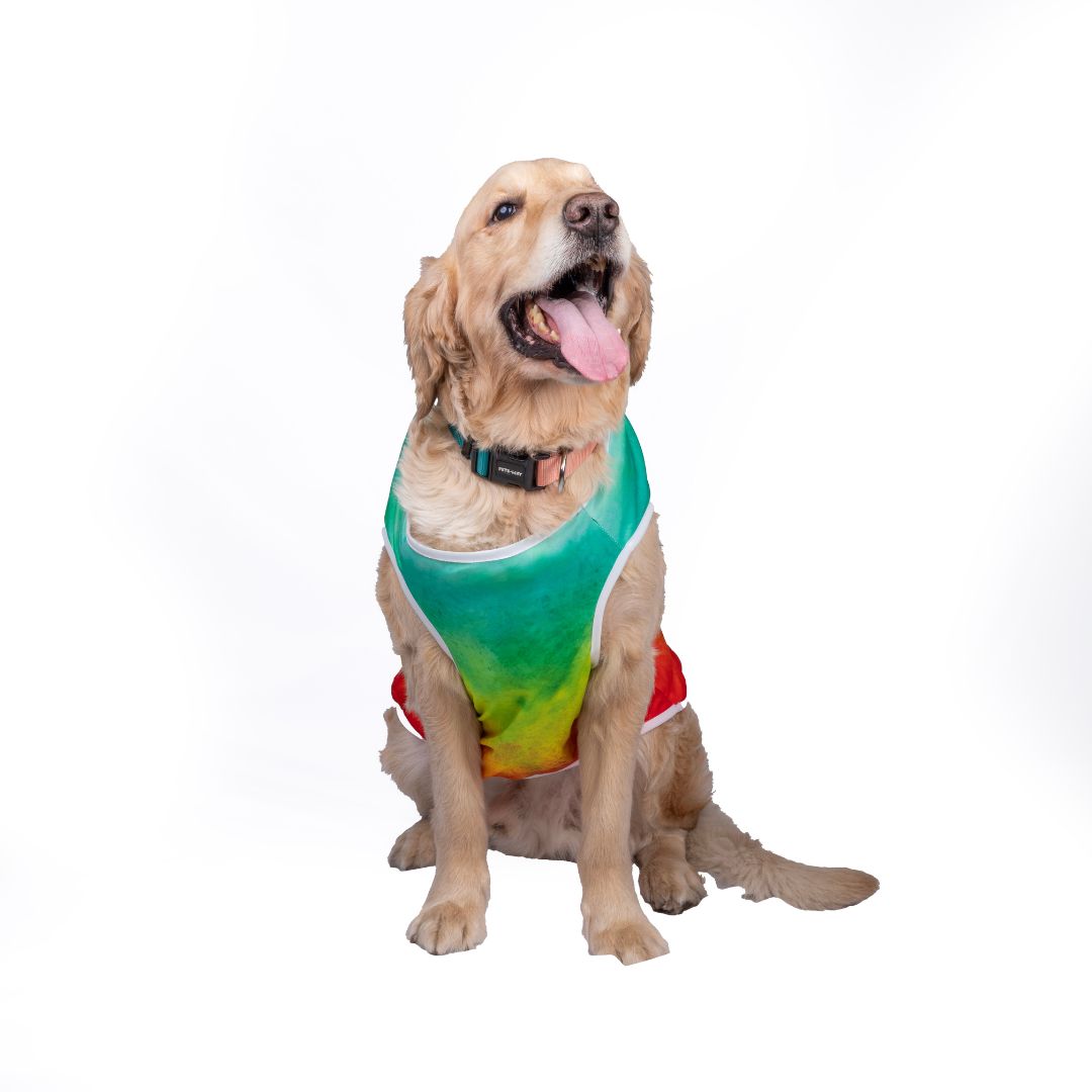 Soft Cotton Holi Dog T-Shirt - Pets Way