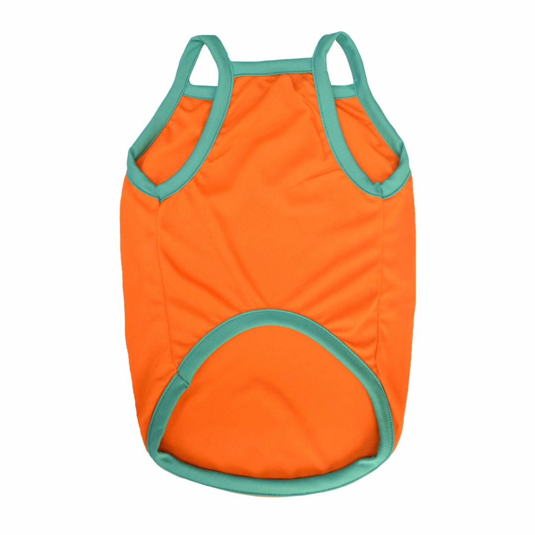 front of Treats Dog Vest-petsway