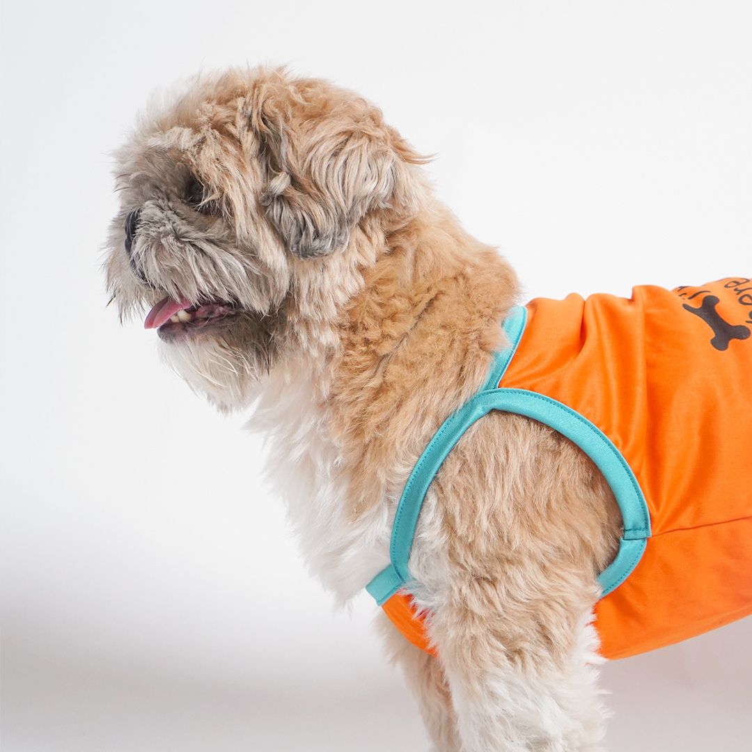standing dog wear Treats Dog Vest-petsway