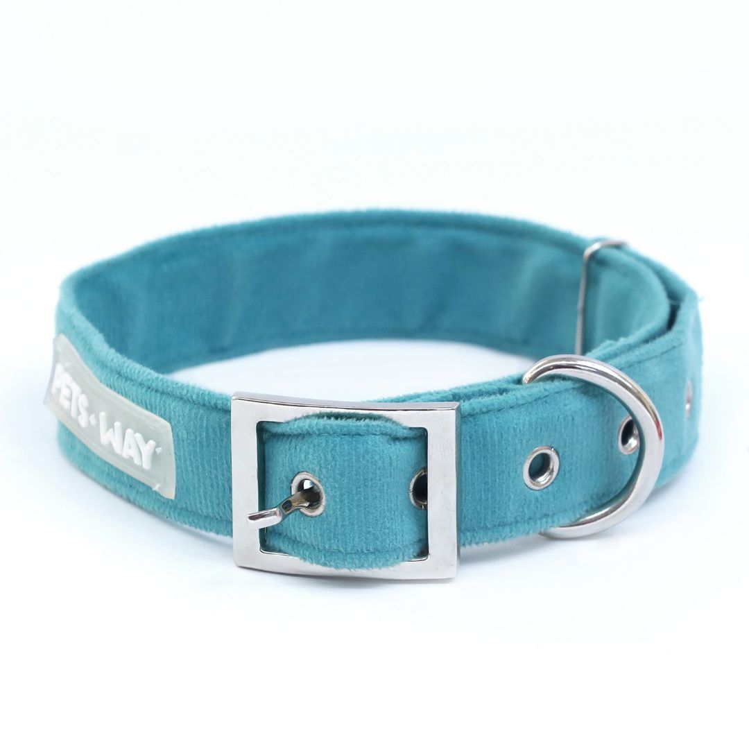Turquoise Luxury Velvet Collar-petsway