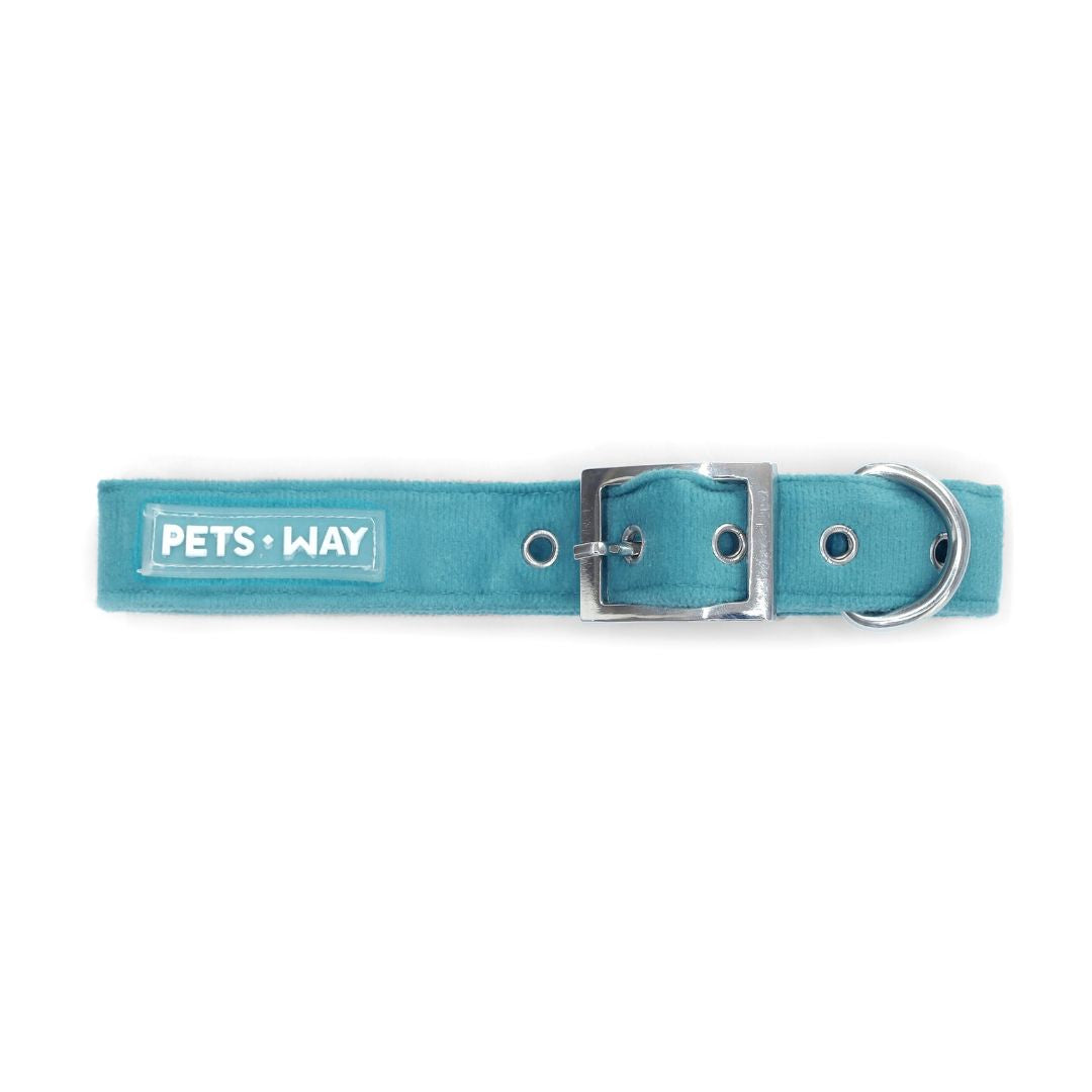 stylish dog collar-petsway